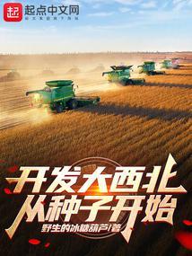 开发大西北是哪里