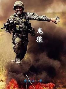 猎鹰和飞狼对打是哪一集