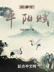 红楼之平阳赋百度百科