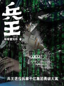 兵王退役后进入官场的