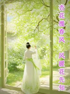 杏花吹满头的意思