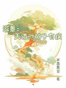 天道系统盗墓