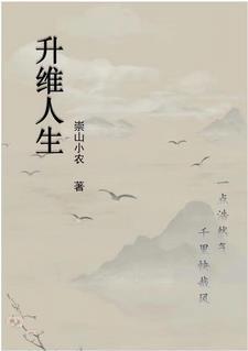 升维的概念