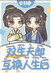 双生夫郎互换人生后txt番外