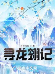 寻龙记完整版