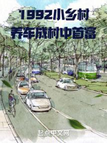 养车成村中首富TXT