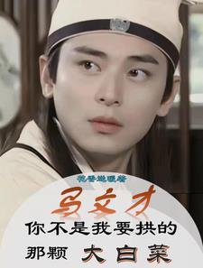 关于马文才的