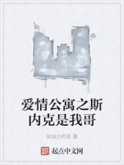 爱情公寓之神级选项卡夜阁