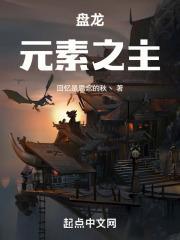 盘龙七大元素