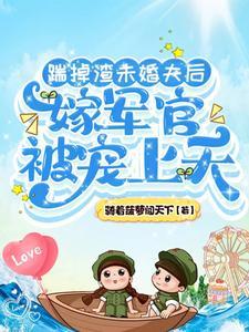 穿越六零当军嫂txt