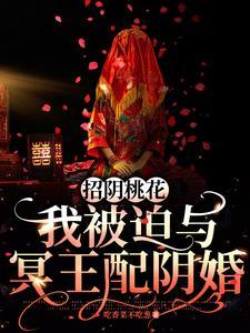 冥王娶妻全集