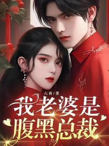 老婆是黑道总裁
