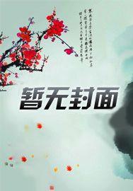 秩序之光大招什么意思