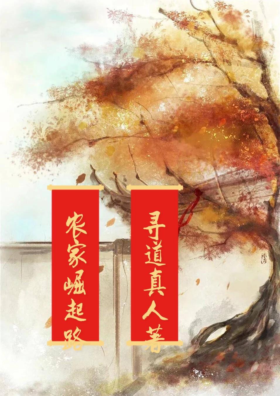 漫漫崛起路