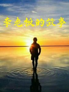 琴琴李老板的故事完整版