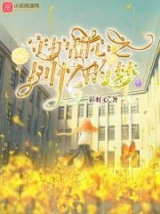 守护甜心之回忆的梦2