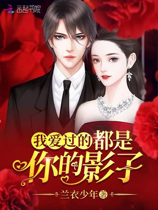我爱过的都是你的影子作品怎么样