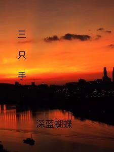 是什么数?