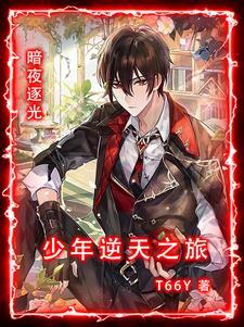 暗夜逐仇结局是什么