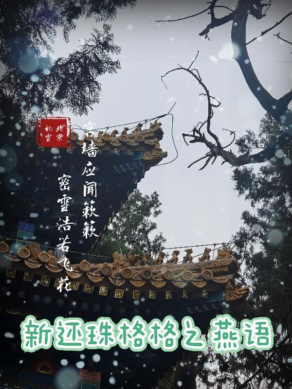 新还珠格格后续