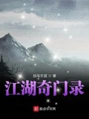 江湖奇功录阅读