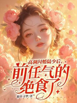 高冷陆少追妻路