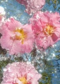 涉江采芙蓉比兴手法的句子