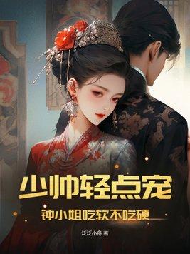 少帅慢点