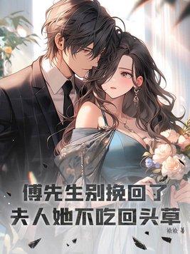 傅先生 别闹