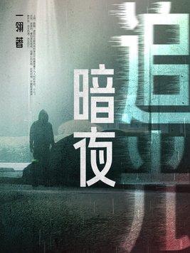 暗夜追光电影在线观看完整版