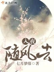 入夜无风