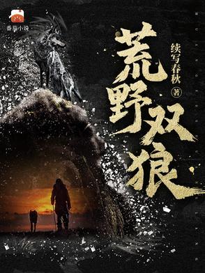 荒野双狼完结了吗