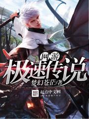 极速传说 电视剧