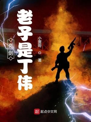 亮剑老子是丁伟TXT八零