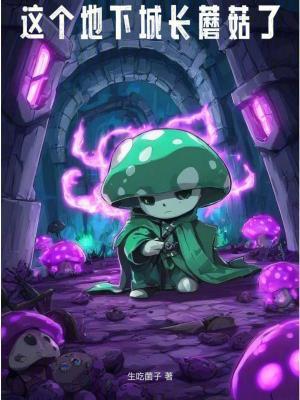 我的世界地下城 蘑菇岛