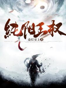 纯阳宫是哪个动漫