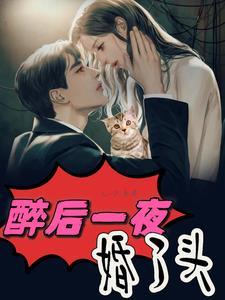豪门盛宴 晚情