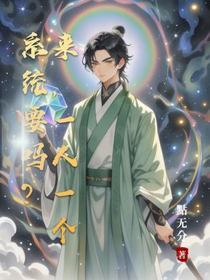 一个系统多少钱