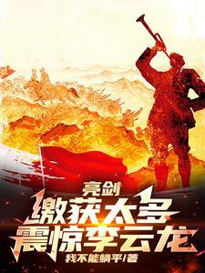 亮剑 李云龙版