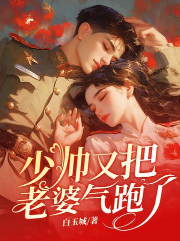 少帅你老婆又跑了的