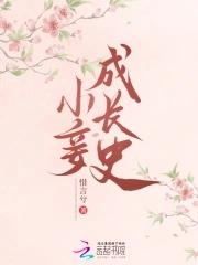 小妾题材的