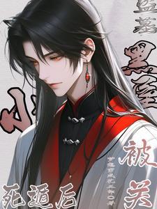 盗墓笔记死当区是什么