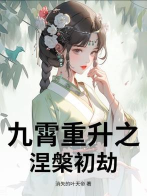 九重无上混沌之力