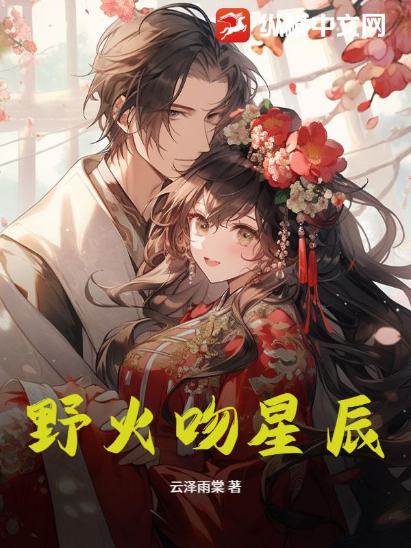 电视剧野火之恋上集