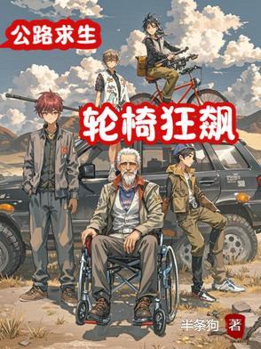 赛车轮椅