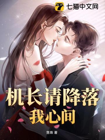 机长请降落