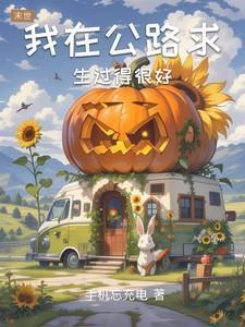 我在公路求生过得很好英语翻译