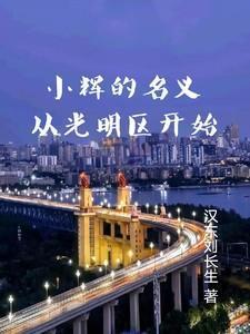小辉写的