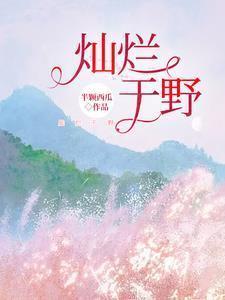 灿烂一下