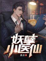 妖孽小医仙资源
